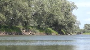 Прокатились с Пашкой по КОРЯЖКАМ!! Крупная щука на Оби.Рыбалка на Алтае,джиг.