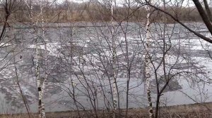 Ледоход на Химкинском водохранилище.