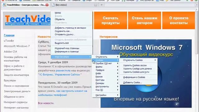 Плагин WebDeveloper для Firefox (15/33)
