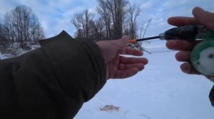 НА ТАКИХ РЫБИН ПОПАДАЕШЬ РАЗ ЗА ЗИМУ!! Рыбалка на Оби, крупный судак и окунь,балансир в коряжнике.