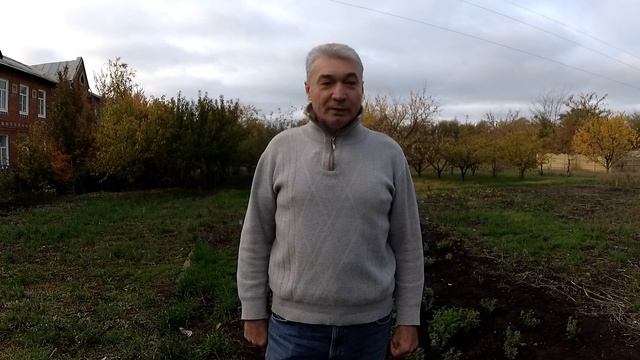 Посев вне срока (чечевица).