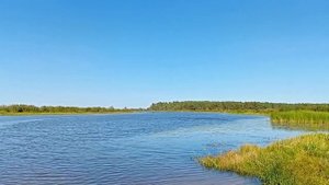 Сибирячка с Парсун 9,9