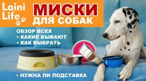 Обзор всех миcок для собак