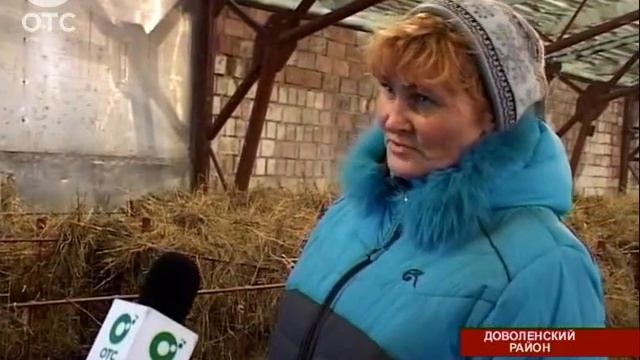 В одном из сел Доволенского района хозяйство вызвались "поднимать" инвесторы