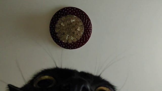 На что я жмал? смотреть онлайн