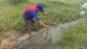 Рыбалка в Камбоджи с помощью ловушки,если кому интересно смотрите!