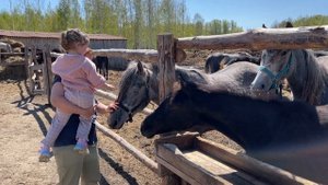 176Из РК в РФ. Купили дом, будем ремонт делать. Купили тачку, обкатываем. Ялуторовск, Сибирь