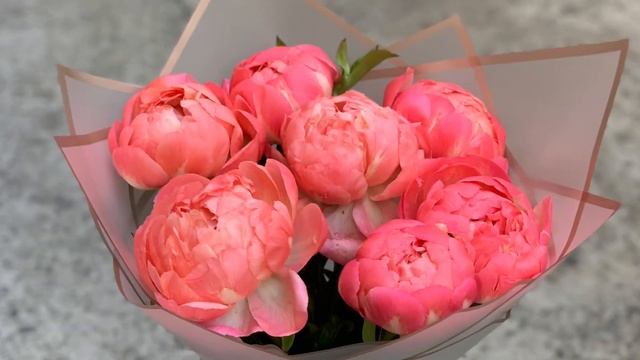 Букеты пионов | купить пионы с доставкой в Ростове Rostov-buket.ru › Букеты› Пионы смотреть онлайн