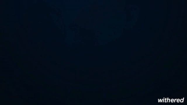 даниззка х рустя || Леонардо Ди Каприо смотреть онлайн