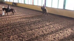 Выездковый конь рысь