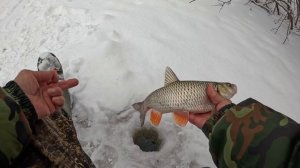 ПЕРВАЯ РЫБАЛКА В ФЕВРАЛЕ! МОНСТРЫ КЛЮЮТ И НЕ ТОЛЬКО ОНИ!