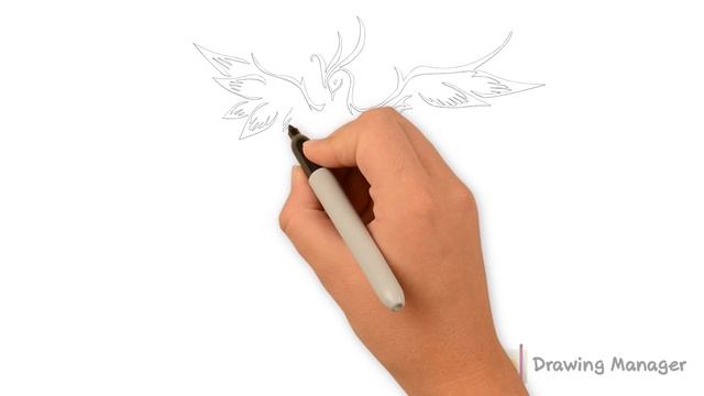 How To Draw a Phoenix Bird Step by Step смотреть онлайн