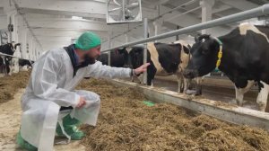 Открытие роботизированной фермы в ООО "Новомедянское" Юрьянского района Кировской области