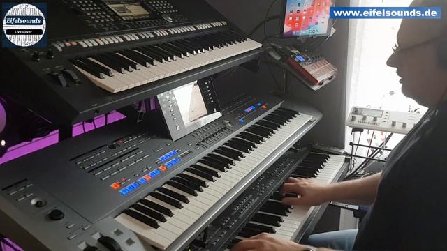 Eifelsounds - Hallelujah / Milk & Honey - Tyros 5 - Live-Cover смотреть онлайн