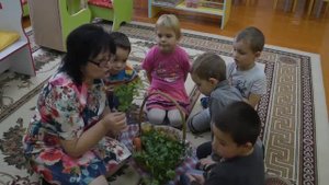 Образовательная деятельность в группе детей с ЗПР, воспитатель О Н Сосновая