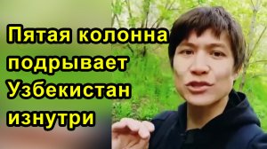 Пятая колонна подрывает Узбекистан изнутри