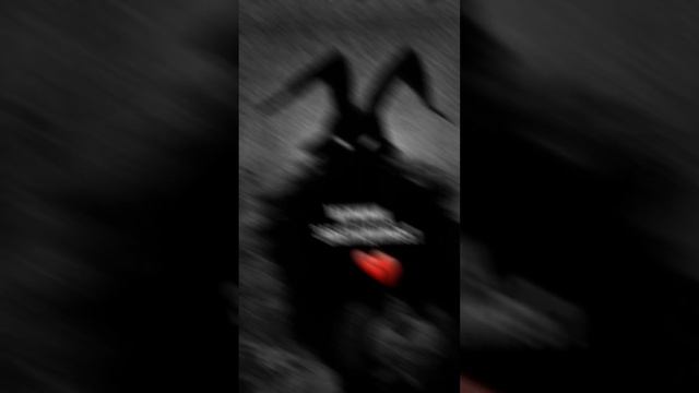 Сборник видео с Хозяином леса (Часть 2) смотреть онлайн