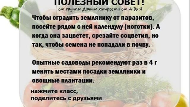 Полезные советы Дачникам и садоводам Дачные хитрости от А до Я 4