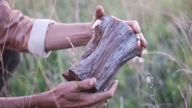 Лесная флейта смотреть онлайн