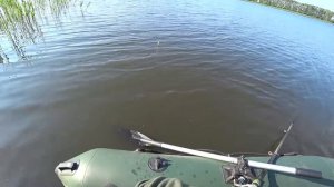 Рыбалка на поплавок с лодки в камышах