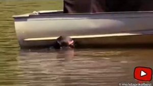 ПРАНК над рыбаками