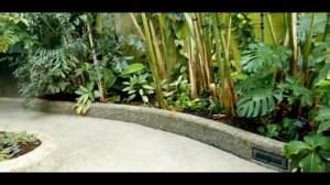 Panasonic AG CX350 4K Video Test