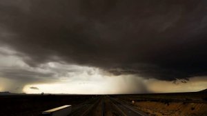 Tim Schaufert - Bones