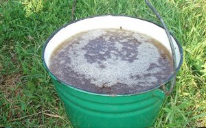 Как быстро избавиться от бурьяна и травы За 3 Секунды!