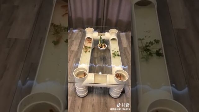 Аквариум из труб смотреть онлайн