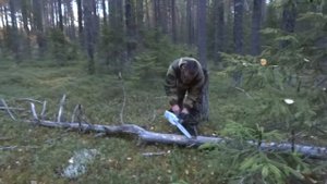 БЕНЗОПИЛА ШТИЛЬ MS 192 T