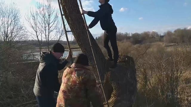 СПИЛИЛ ДЕРЕВО-СЛОМАЛ ЗАБОР СОСЕДУ....