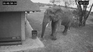 10 Самых Необычных Моментов Снятых На Камеру