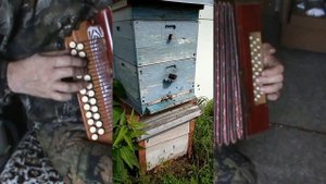 Двести лет цыганка мне разбор с цифрами