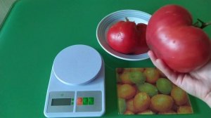 Дегустация томатов 2021 г. Сердце Минусинска и Минусинские бычки.