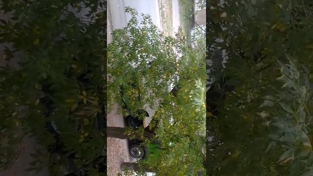 Чистка дороги—ул.Б.-Хмельницкого
