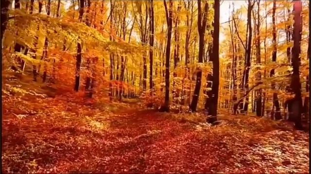 Улыбайся, девочка - Стефания Романова