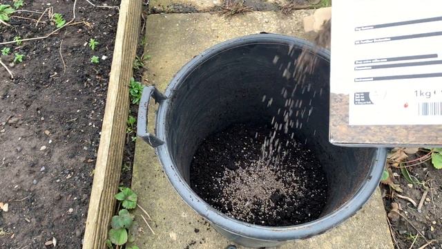 What can I plant in March?