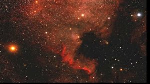 NORTH AMERICA NEBULA.