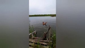 На это Озеро приносят на НОСИЛКАХ! Обратно Человек Идёт Сам. Лечебные грязи в Ростовской области.