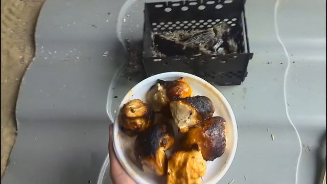 Супер походная печь щепочница: шашлык до и после))) смотреть онлайн