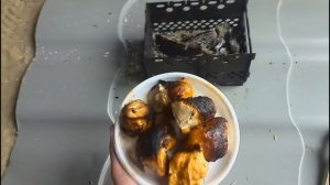 Супер походная печь щепочница: шашлык до и после)))