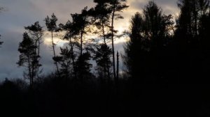 Canon PowerShot SX 70 HS "4K" test