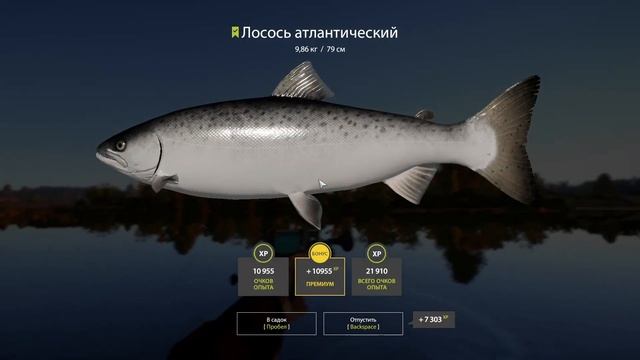 Лосось атлантический | р. Волхов | Русская Рыбалка 4 смотреть онлайн