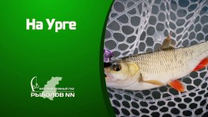 В погоне за голавлём. На Урге с ультралайтом.