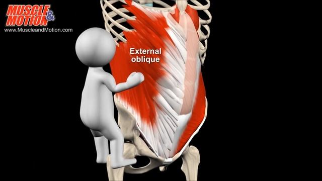 Как накачать "верхний" и "нижний" пресс смотреть онлайн