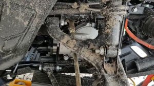 Стелс Леопард 600 новая подвеска.
