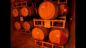 Главная фишка iPhone 11 и iPhone 11 Pro