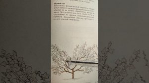 Правильная обрезка крыжовника для крупного урожая.