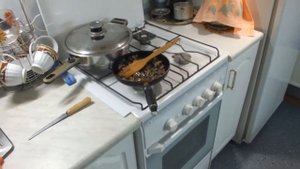 Поджарка из курицы с грибами все едоки в восторге