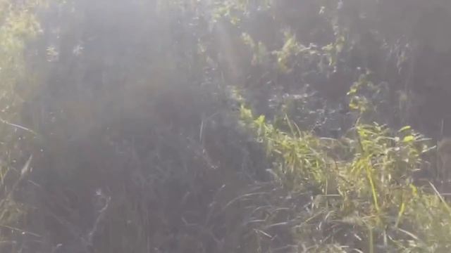 Ширинье-Раменье смотреть онлайн